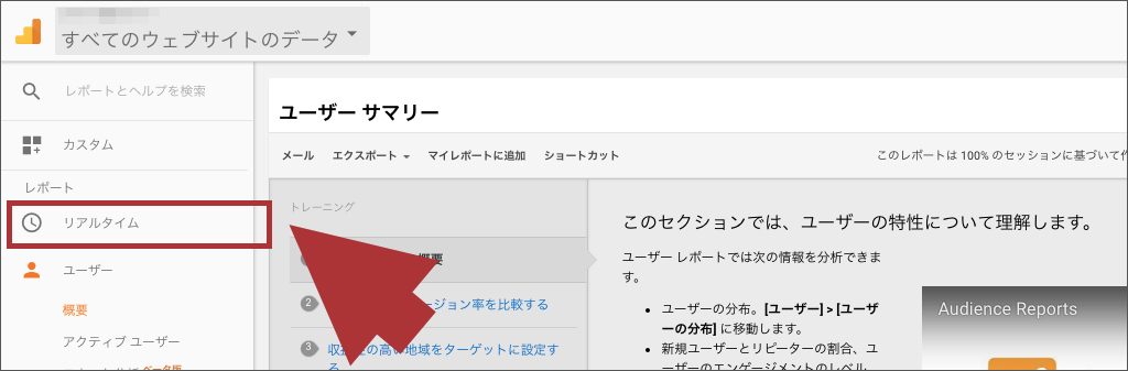「リアルタイム」の「概要」を選択