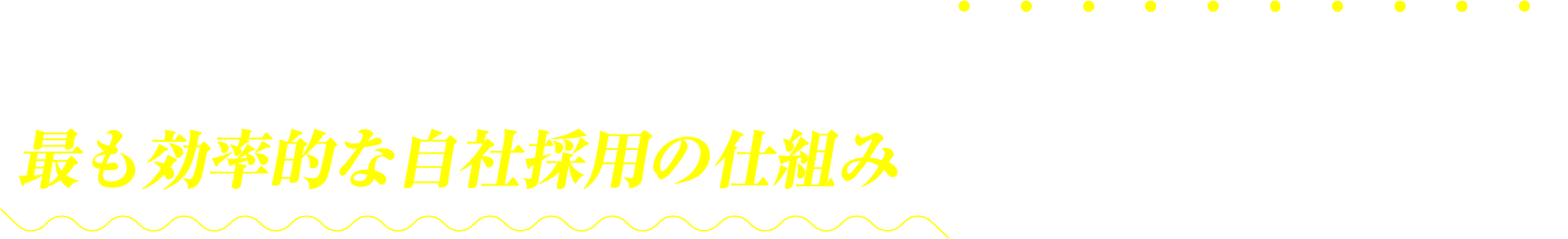 全ての採用活動の受け皿となる採用サイトを充実させ、最も効率的な自社採用の仕組みをご提案致します。