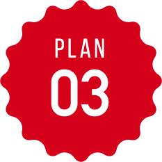 PLAN 03